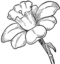 Images Of Easy Drawing Picture Flower - ClipArt Best