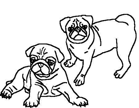 Pug Clip Art