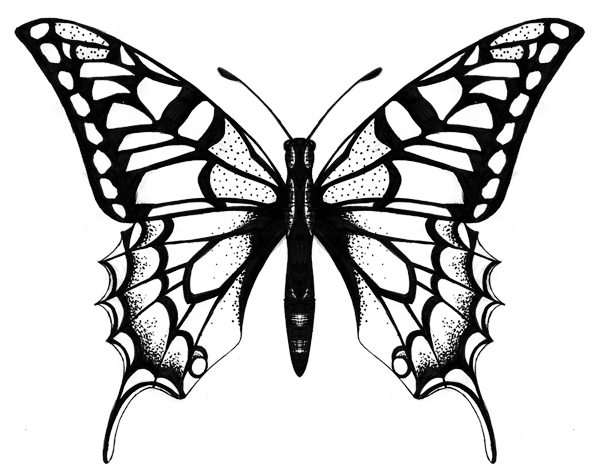 Cool Butterfly Drawings - ClipArt Best