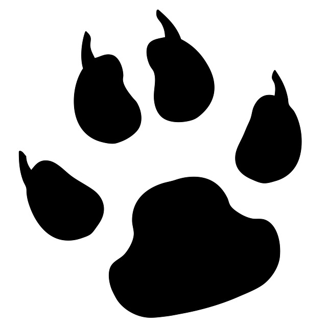 Bobcat Paw Print Clip Art