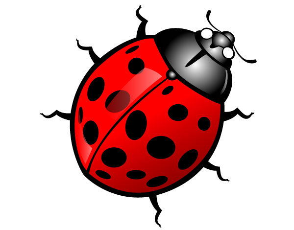 Ladybug Vector Image | Download Free vectors | Free Vector ...