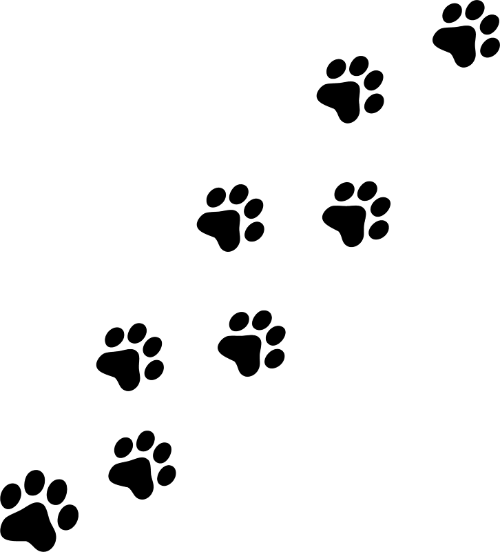 Paw Print Clip Art Free - Tumundografico