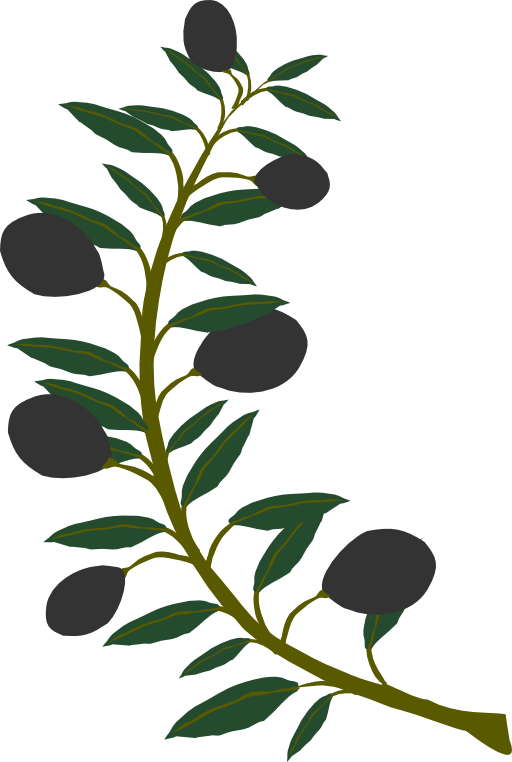 Clip art olive branch