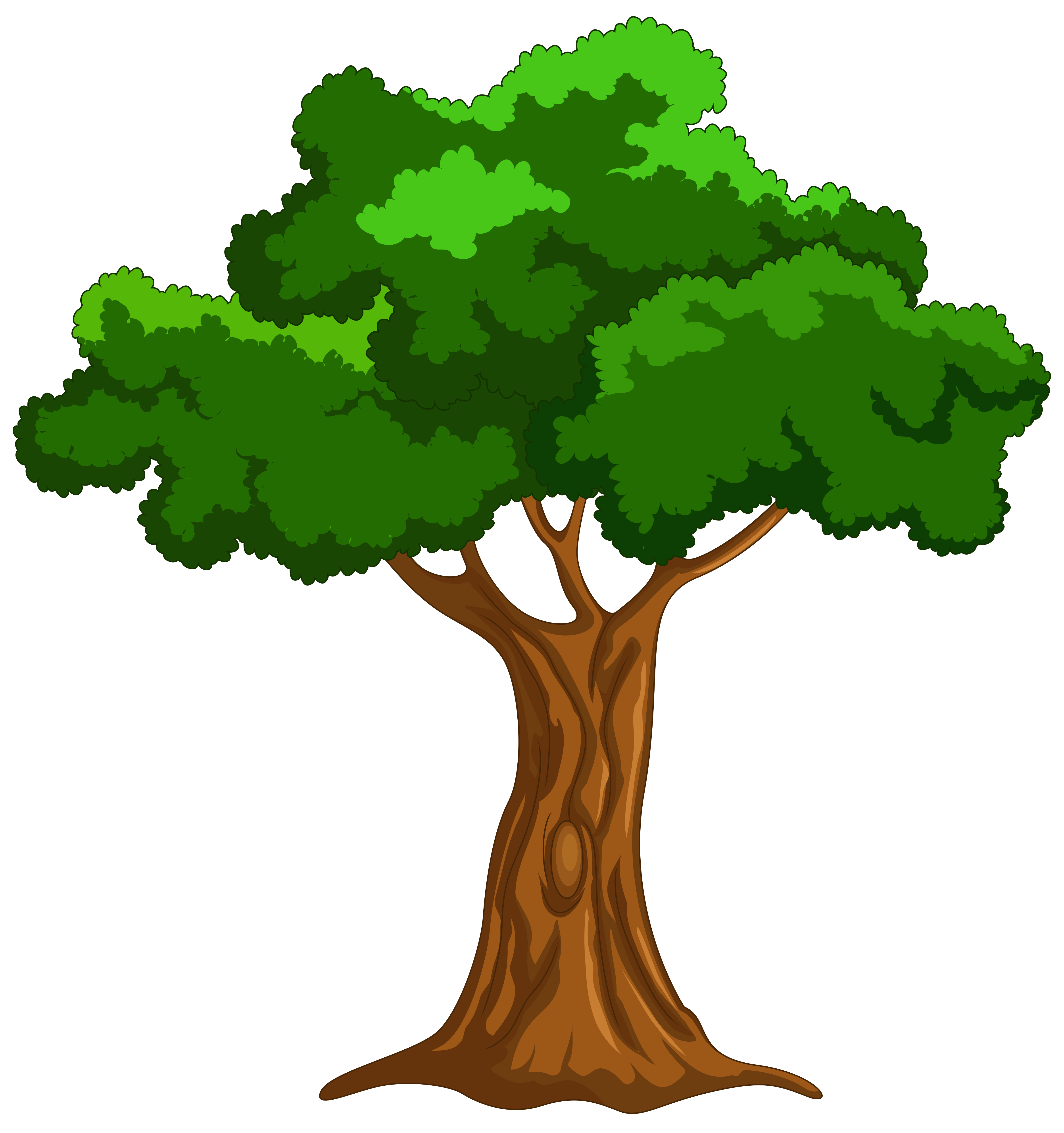 Cartoon tree clipart - ClipartFox