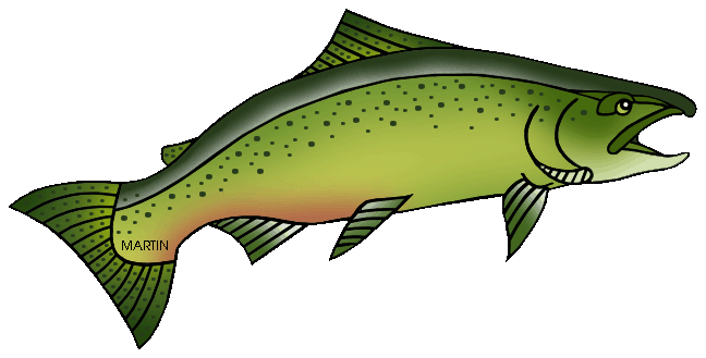 Free Animals Clip Art by Phillip Martin, Chinook Salmon