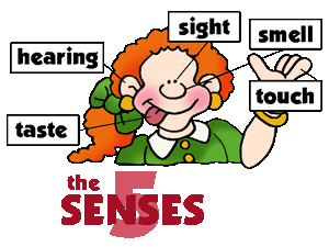 5 Senses Clip Art