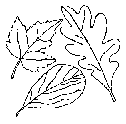 Fall Leaf Coloring Pages - School Projects Car Trip Activity