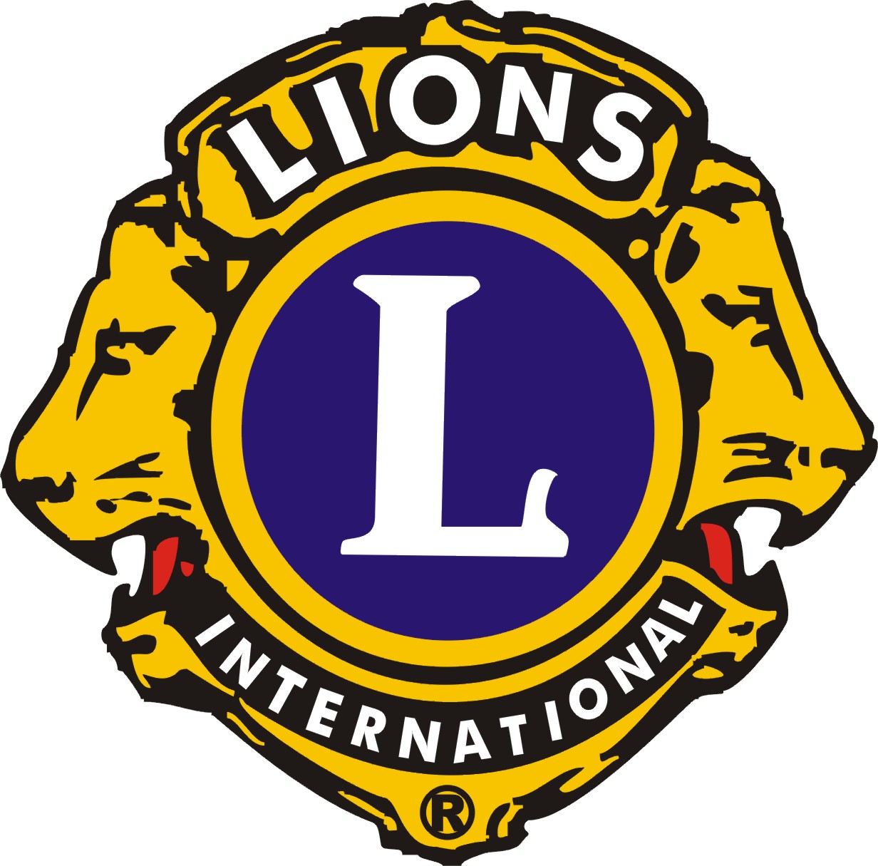 Bantry Bay Lions Club Diary – July 2013