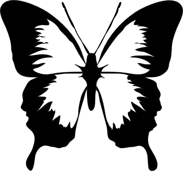 Butterfly Drawings - ClipArt Best