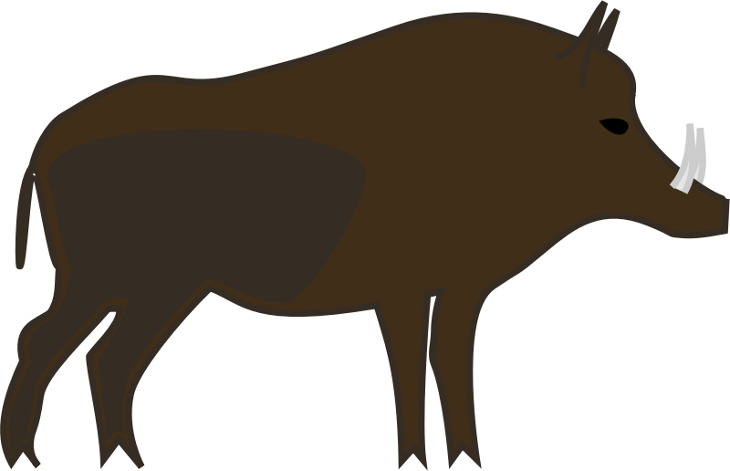 Boar Clipart