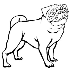 Pug Outline - ClipArt Best