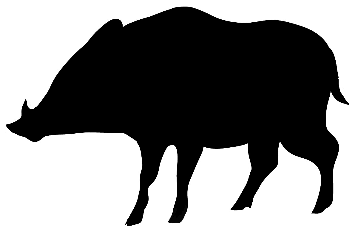 Wild Boar Clipart