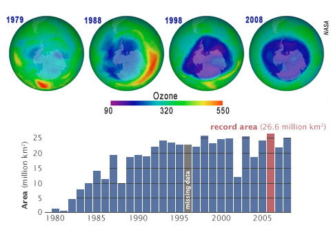 Environmental Science Review | Seen in Green