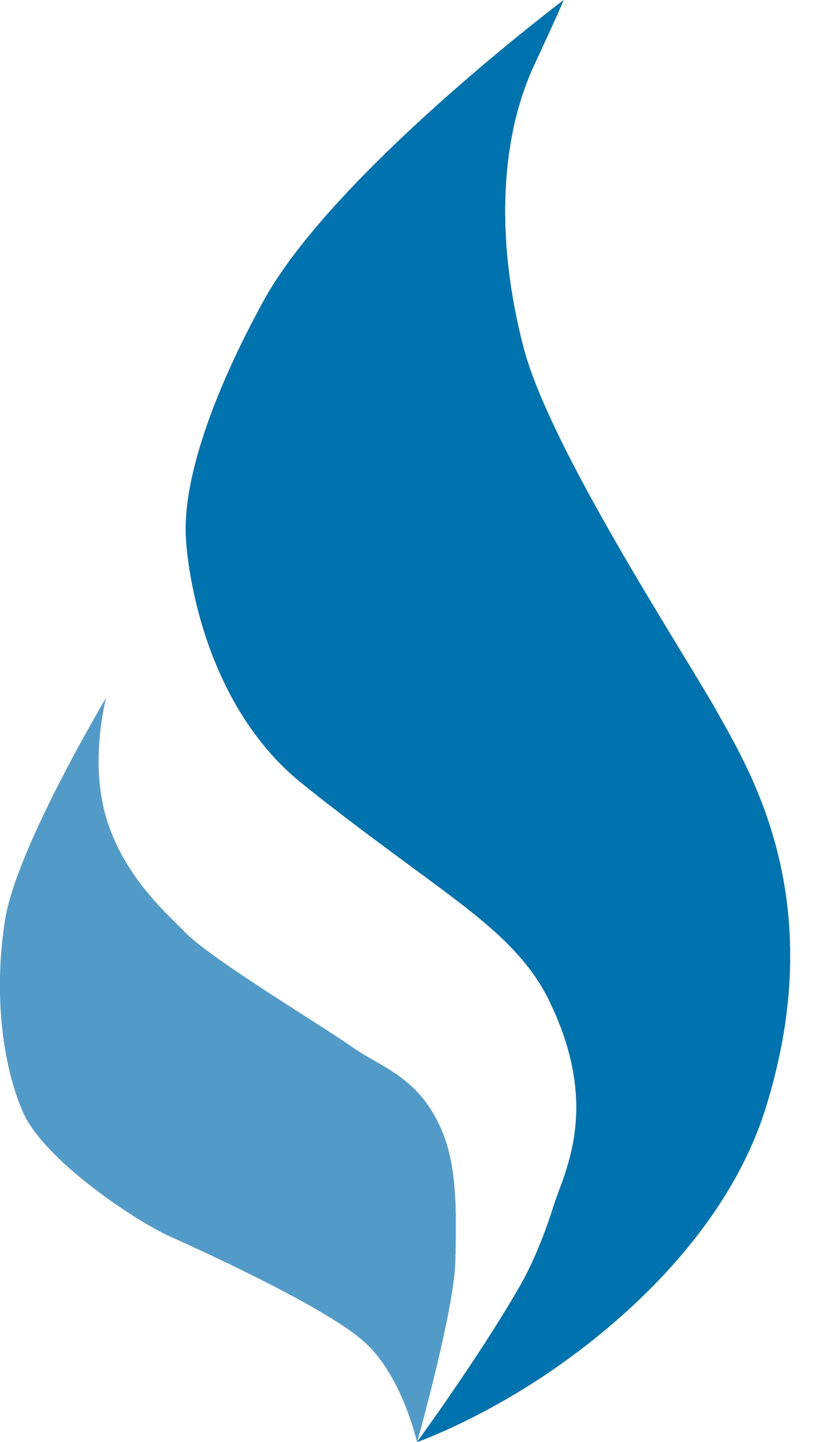 Blue Flame Logo