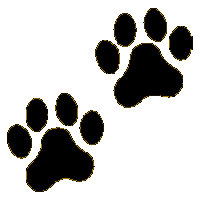 Paw Print Clipart Gif