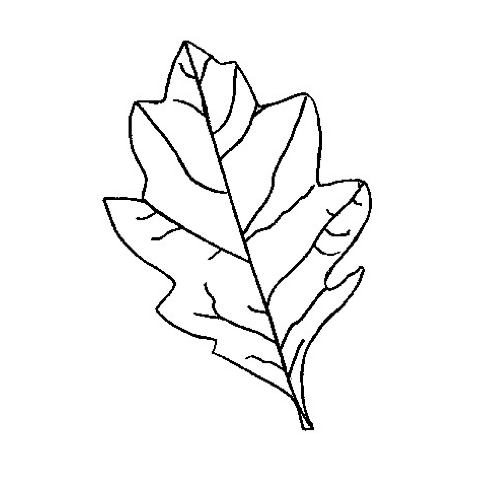 Outline Oak Leaf