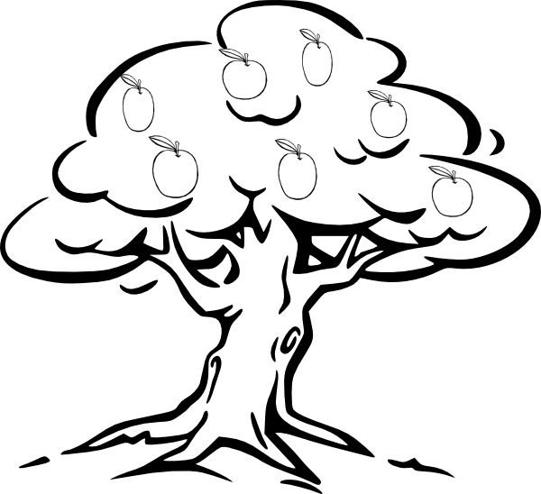 Line Drawing Of Tree