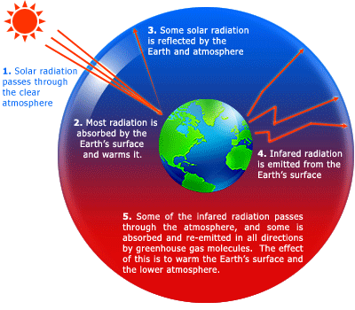 Global Warming and the Greenhouse Effect