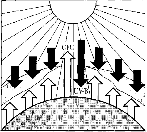 Ozone Layer Diagram - ClipArt Best