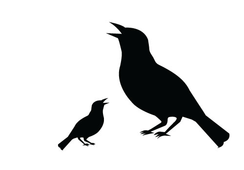 free bird clipart silhouette