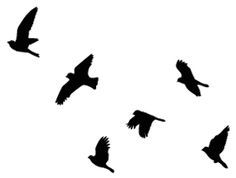 Bird in flight silhouette clipart