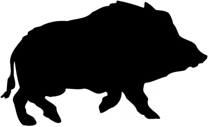 Free Wild Boar In Silhouette Vinyl Sticker Customize On Line ...