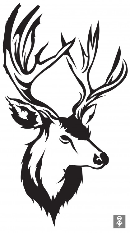 Deer Head Picture - ClipArt Best