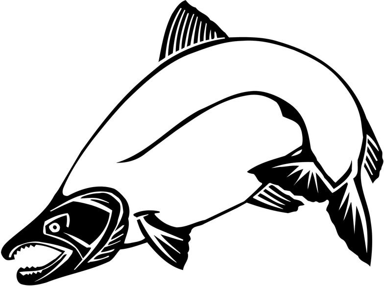 Salmon Clip Art