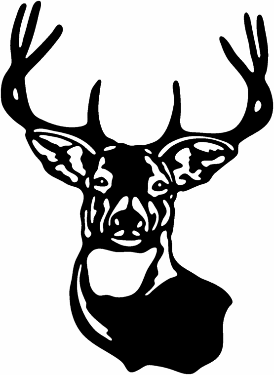 Deer Head Pictures