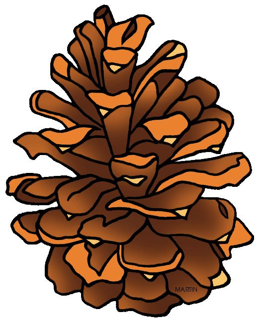 1000+ images about pinecones