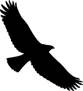 Soaring Eagle Silhouette Clip Art Clipart - Free to use Clip Art ...