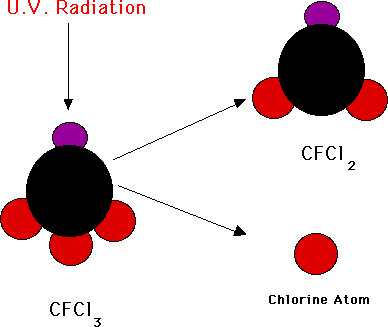 Our Thinning Ozone