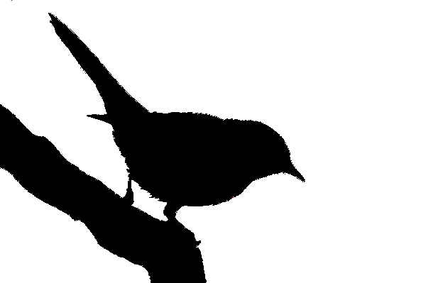 Spanish bird silhouettes » Birding In Spain Blog