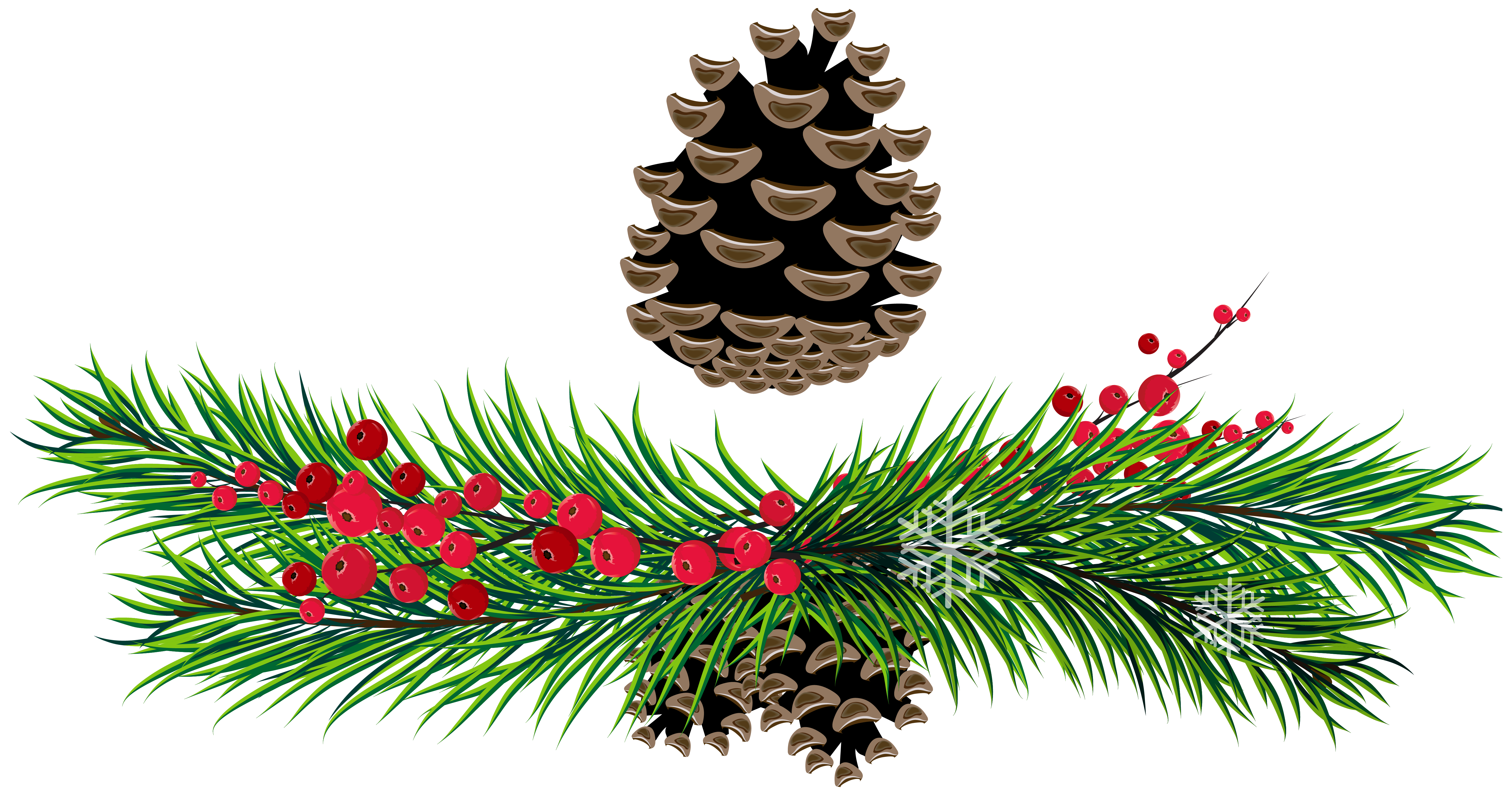 Pine Cone Clipart