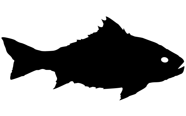 Fish Vector Art | Free Download Clip Art | Free Clip Art | on ...