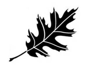 Leaf stencil, Stencils and Oak leaves