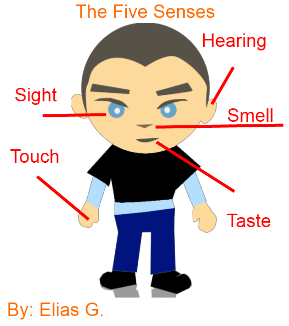 5 Senses Clip Art