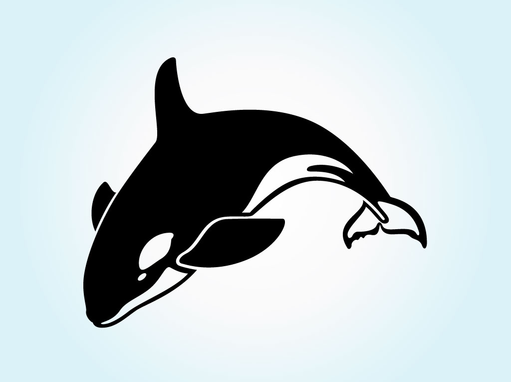 1000+ images about Orca | Free willy, Awesome tattoos ...