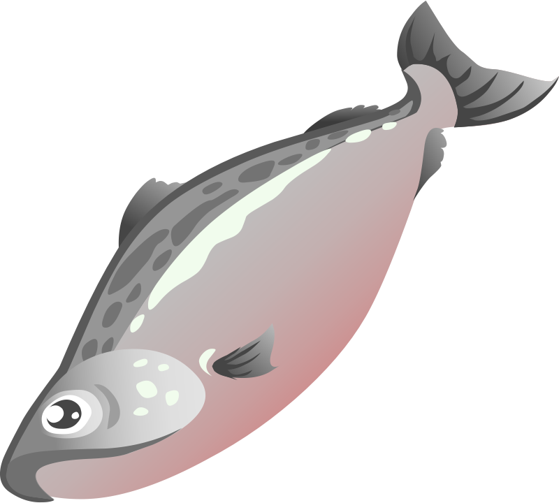 Clip art for fish clip salmon clipart image