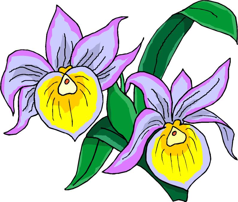 flowers with faces clip art