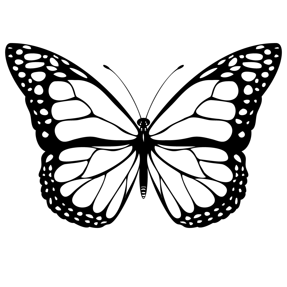 Butterfly Outline Drawings