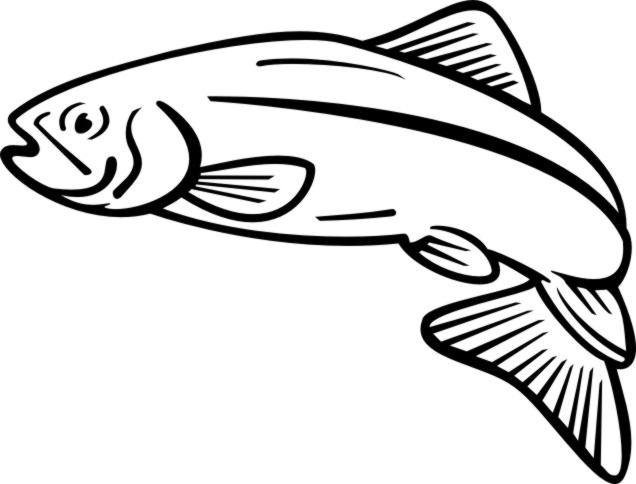 Salmon clip art free