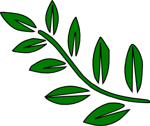 Olive Tree Branch - ClipArt Best