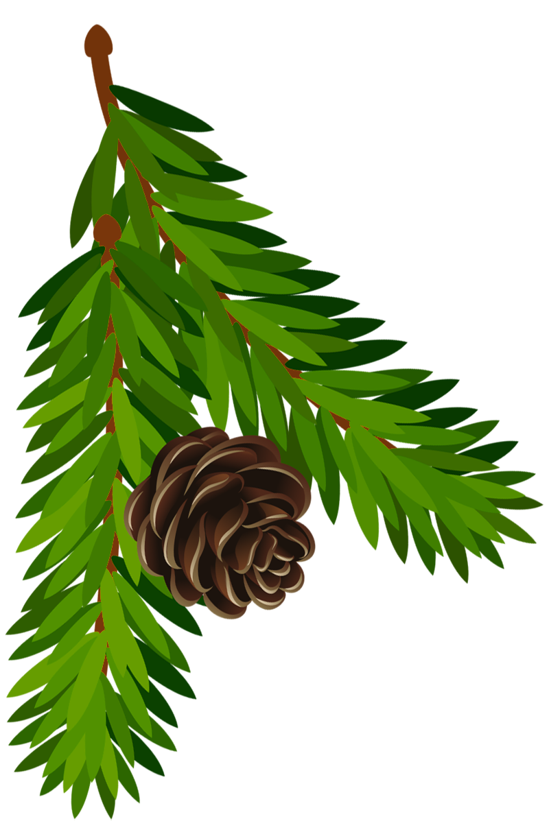 Pine Cone Clip Art