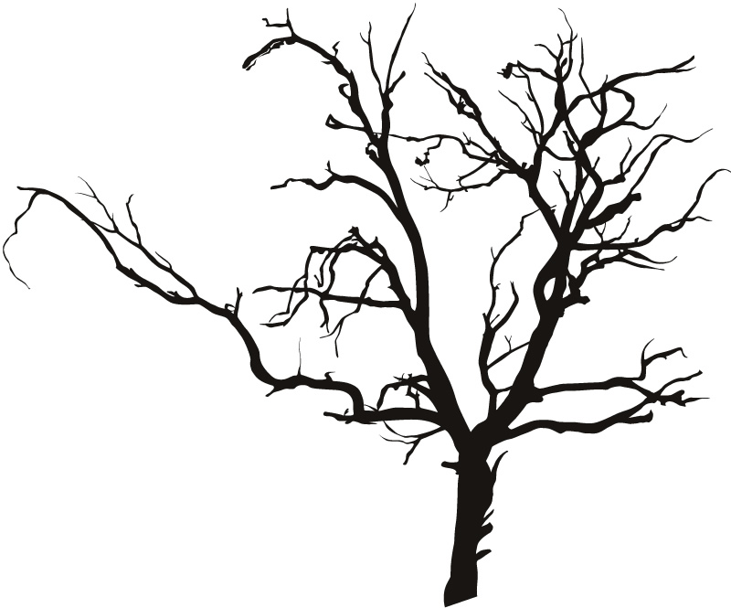 Creepy tree clipart outline