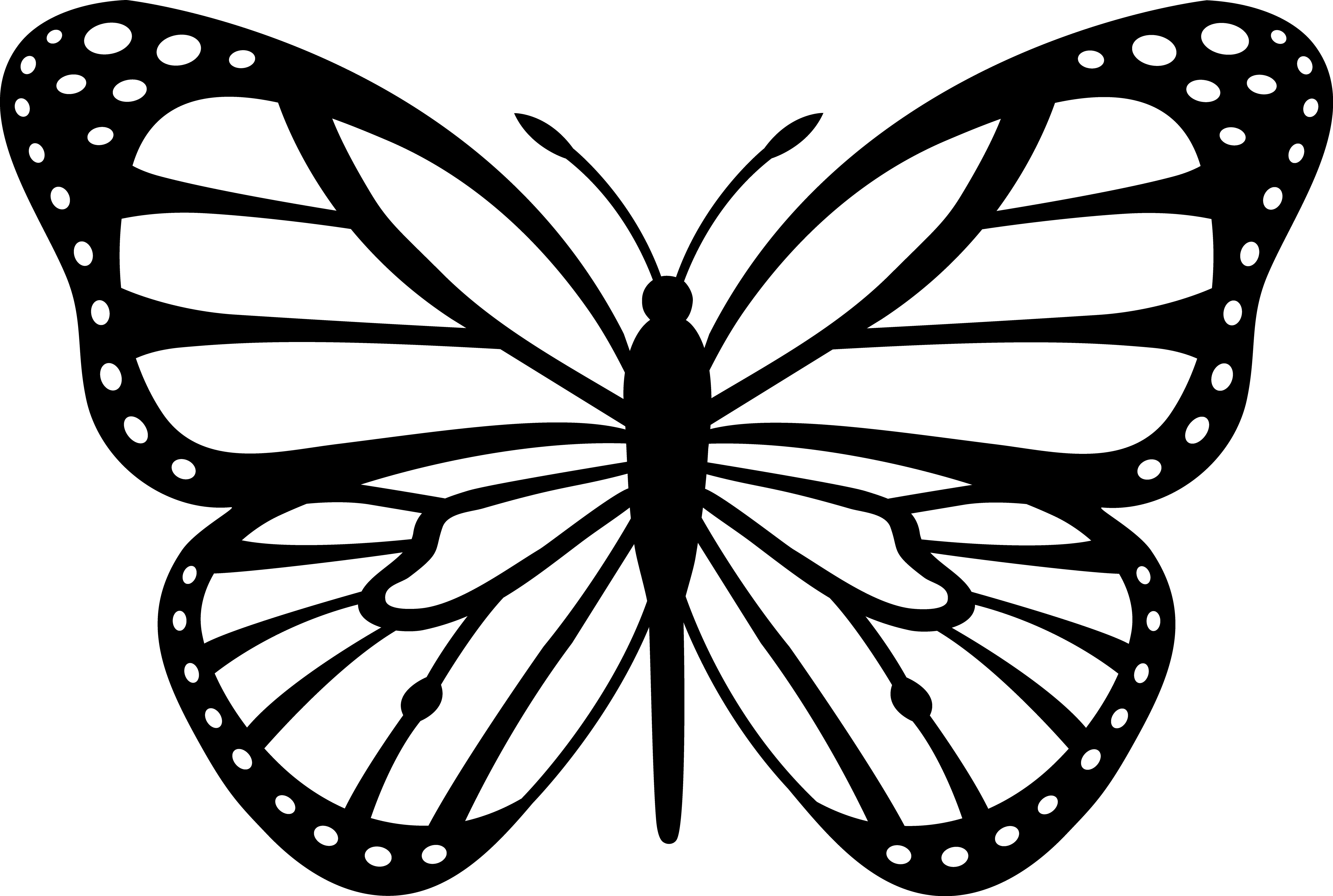 Butterfly Line Art