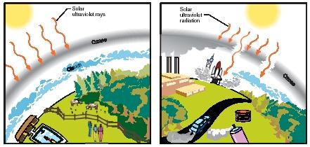 Essay on ozone layer