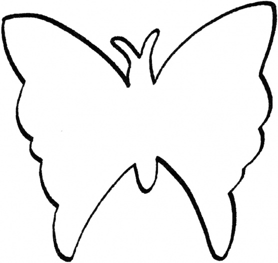 Butterfly Drawing Outline