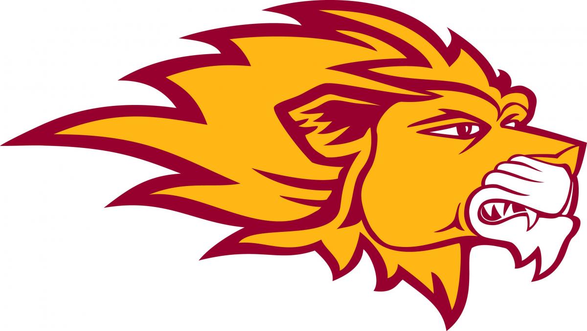 Athletic Brand Guide | Emmanuel College