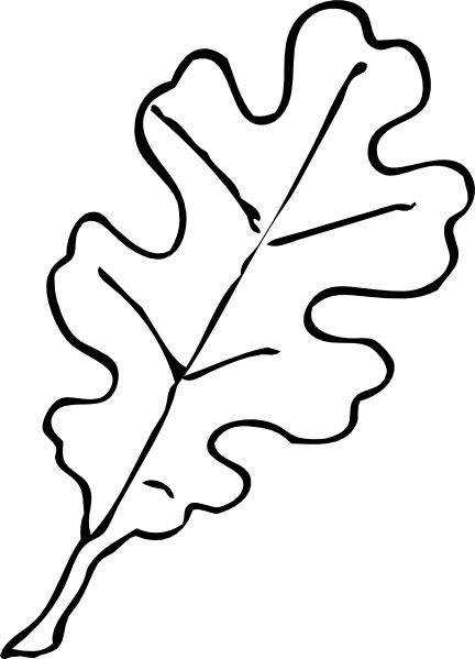 Leaf Template | Leaf Patterns ...